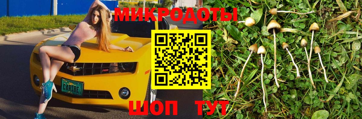 наркошоп  Галлюциногенные грибы ЛСД  Вход с VPN  Новосибирск  Псилоцибиновые грибы мицелий 